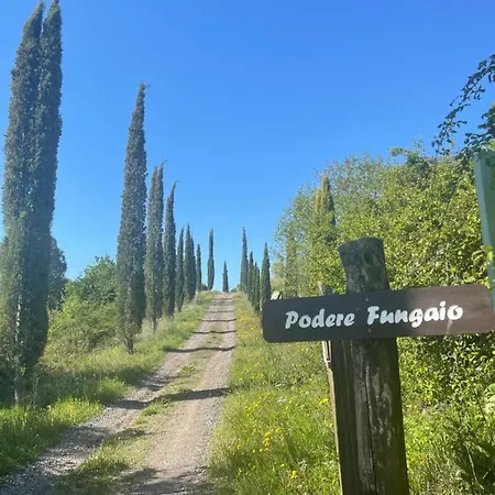 Villa Podere Fungaio - Belocations *
