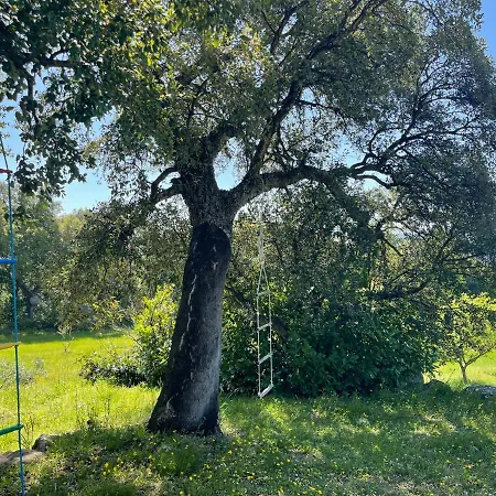Villa Podere Fungaio - Belocations *