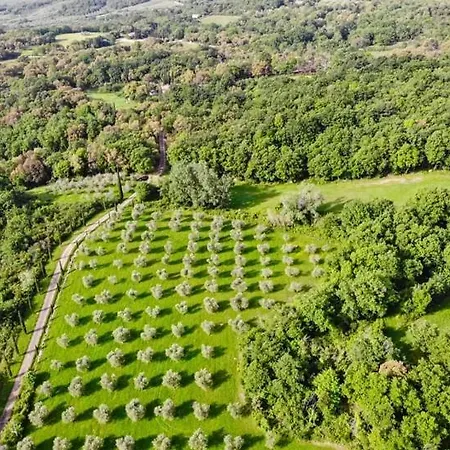 Villa Podere Fungaio - Belocations *